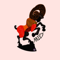 Aries - Supply Hood 5101 (Same Day) Design