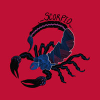 Scorpio - Hooded Sweatshirt Design